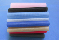 曲周涤纶（PET）无纺布是什么